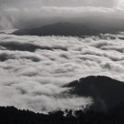 Sea of mist